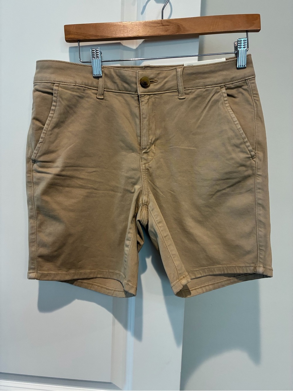 American Eagle Outfitters Tan Flat-Front Men's Shorts